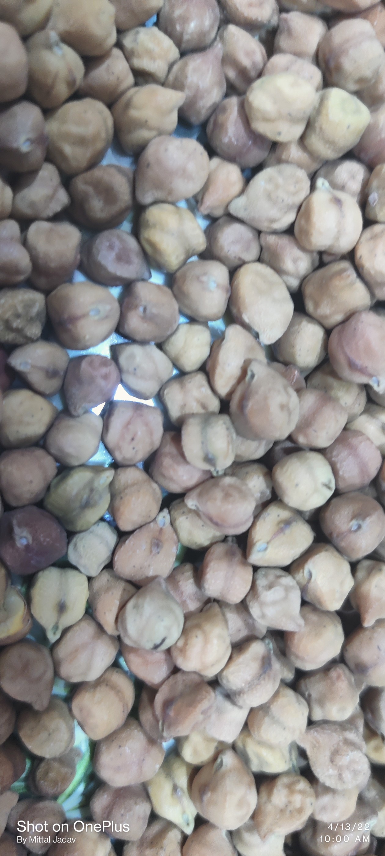 Organic Chickpeas , Bengal grams , Chana